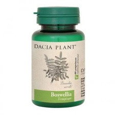 Boswellia - Dacia Plant
