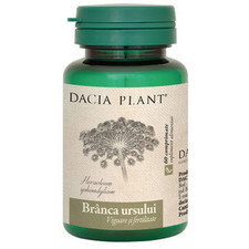 Branca Ursului - Dacia Plant