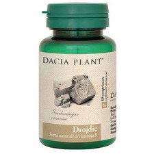 Drojdie - Dacia Plant