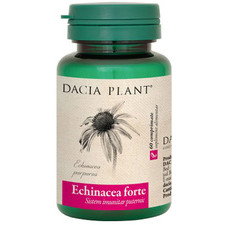 Echinacea Forte - Dacia Plant