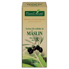 Extract de Maslin - PlantExtrakt
