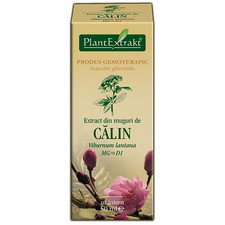 Extract de Muguri de Calin - PlantExtrakt
