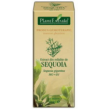 Extract de Sequoia - PlantExtrakt