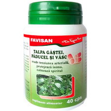 Talpa gastei, Paducel si Vasc - Favisan