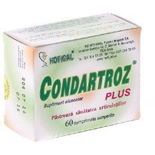 Condartroz Plus 60 capsule - Hofigal
