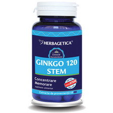Ginkgo 120 Stem 60capsule - Herbagetica