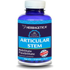 Articular Stem 120capsule - Herbagetica