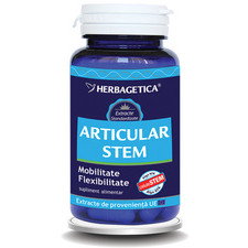 Articular Stem 30capsule - Herbagetica