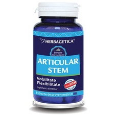 Articular Stem 60capsule - Herbagetica