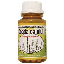 Coada Calului - Hypericum