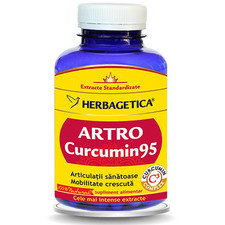 Artro Curcumin 95 120capsule - Herbagetica