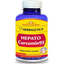 Hepato Curcumin 95 120capsule - Herbagetica
