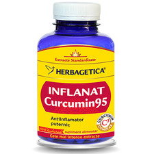Inflanat Curcumin 95 120capsule - Herbagetica