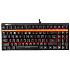 Rapoo V500