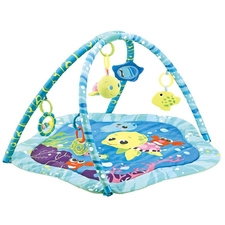 Cangaroo Funny Ocean